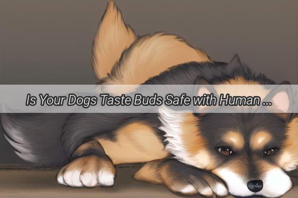 Is Your Dogs Taste Buds Safe with Human Lollipops Uncover the Truth Now